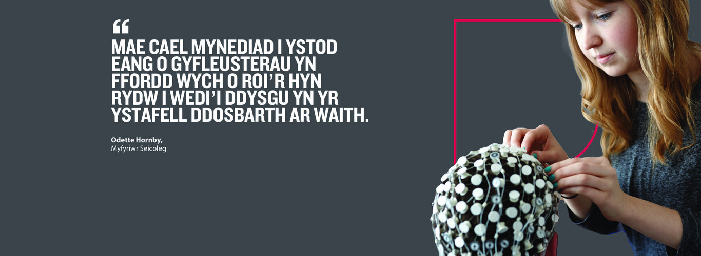 Psychology Subject Page Banner Welsh