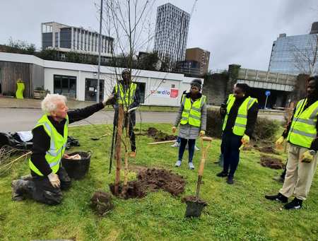Coed Caerdydd tree planting 2