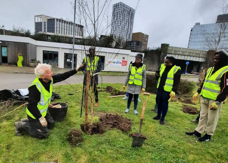 Coed Caerdydd tree planting 2
