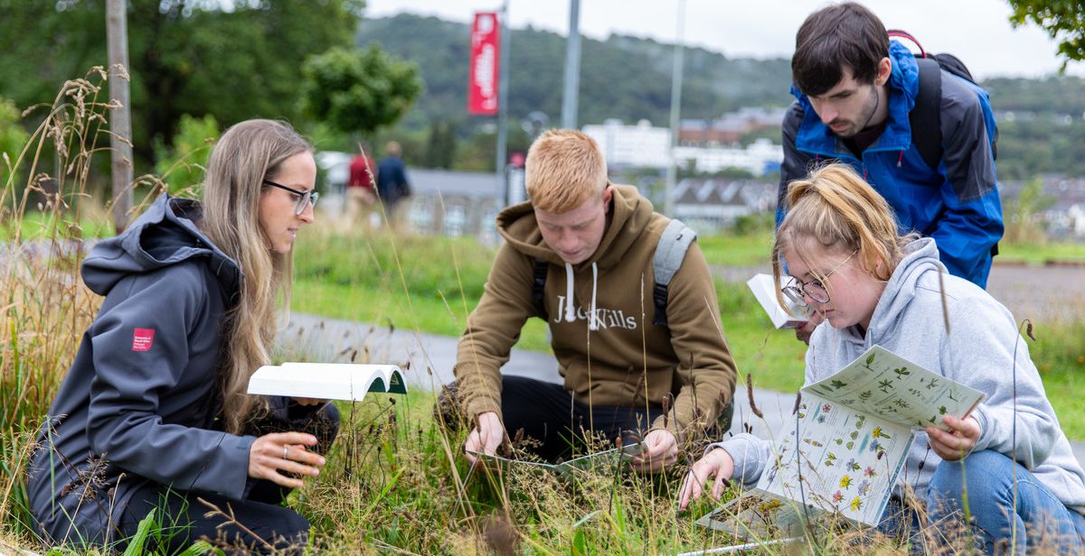 BSc (Hons) Environmental Science | University of South Wales