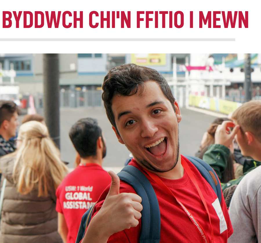Fit in - welsh.png