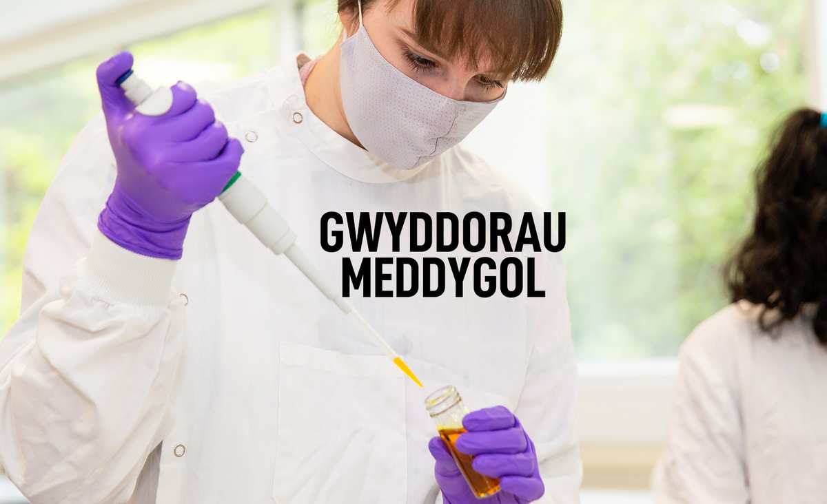 Medical Sciences - Welsh