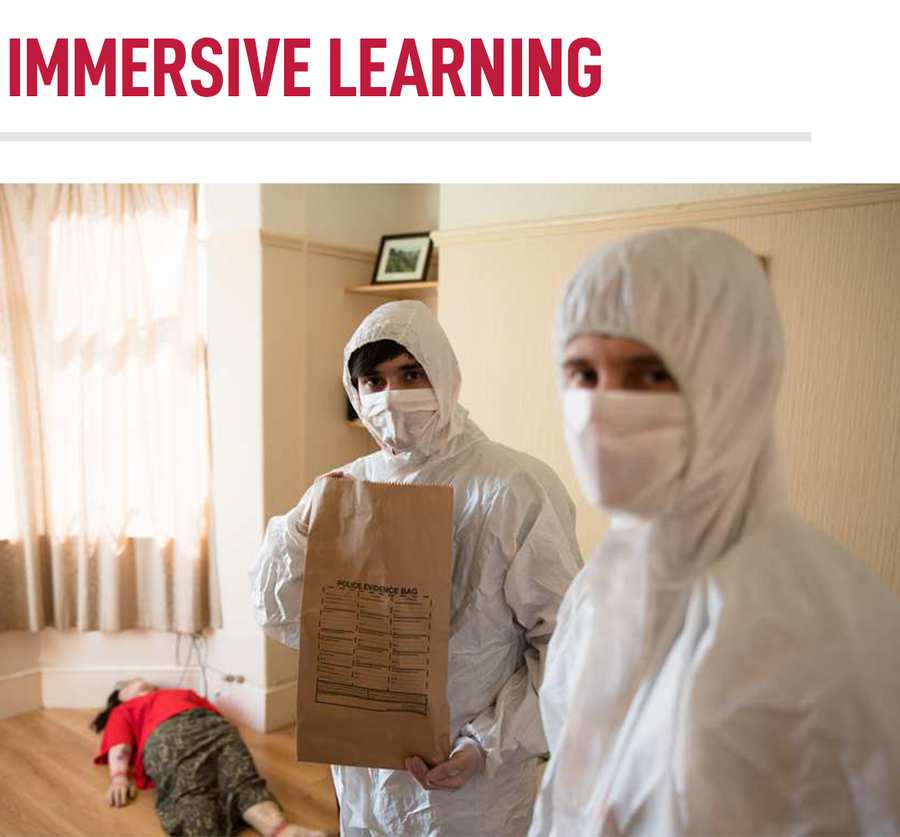 PRACTICAL AND IMMERSIVE LEARNING.png