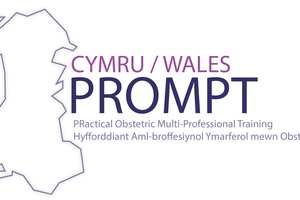 PROMPT Wales logo