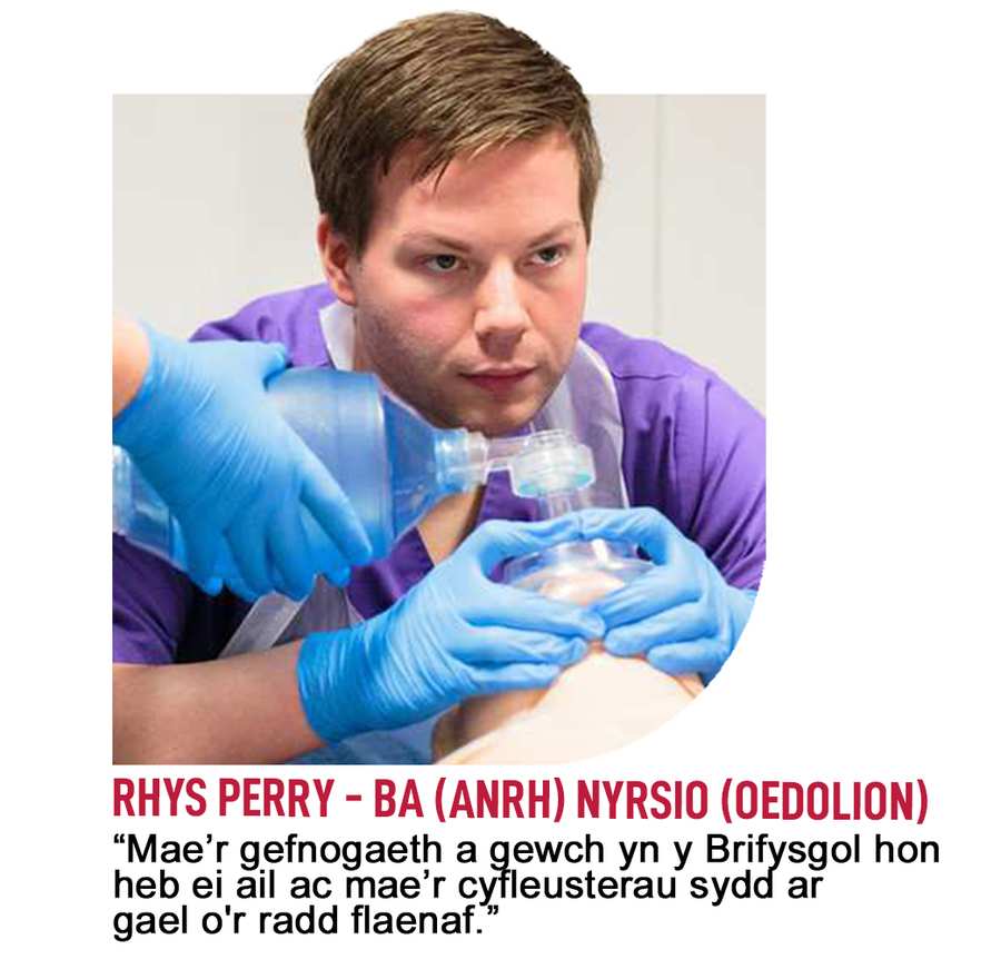 Rhys Perry Quote Welsh