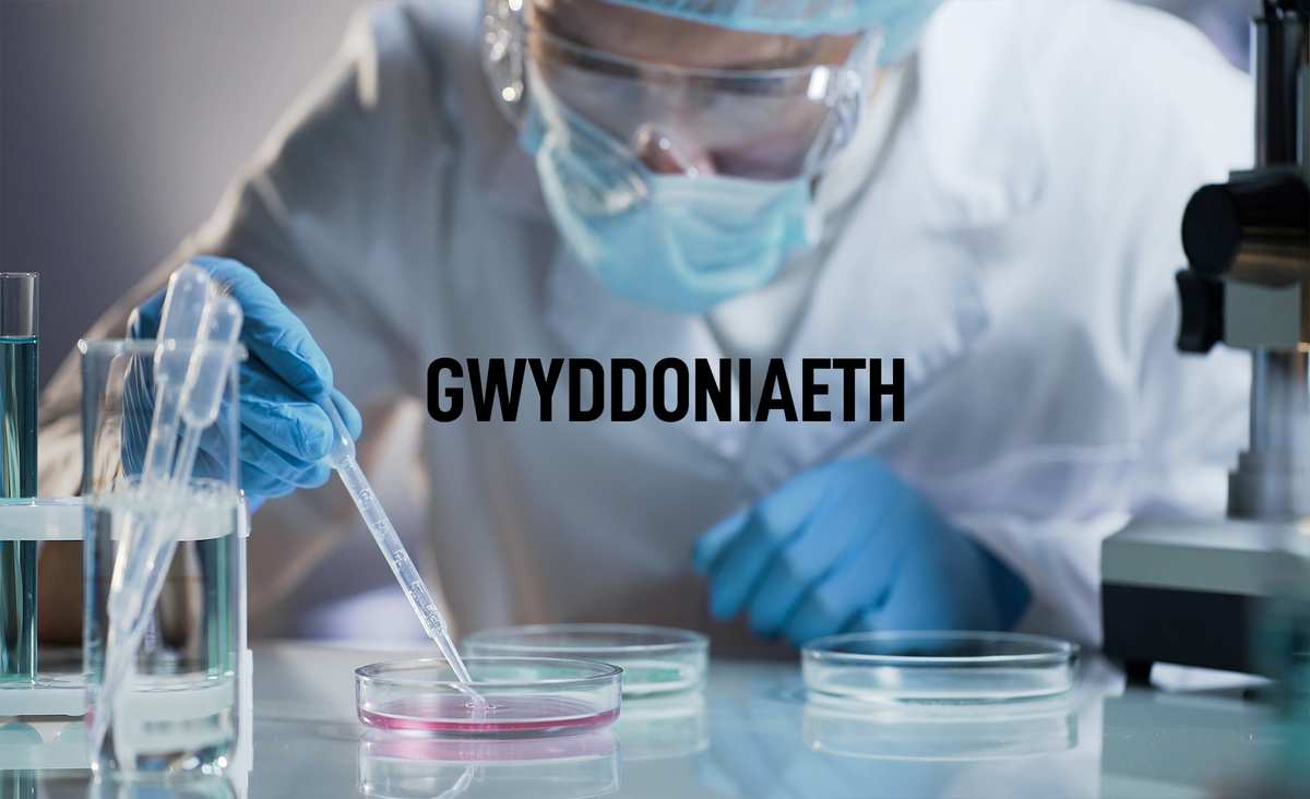 Science Welsh