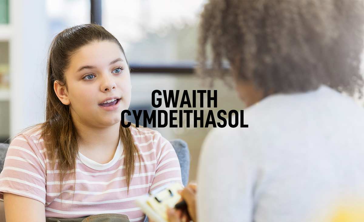 Social Work - Welsh