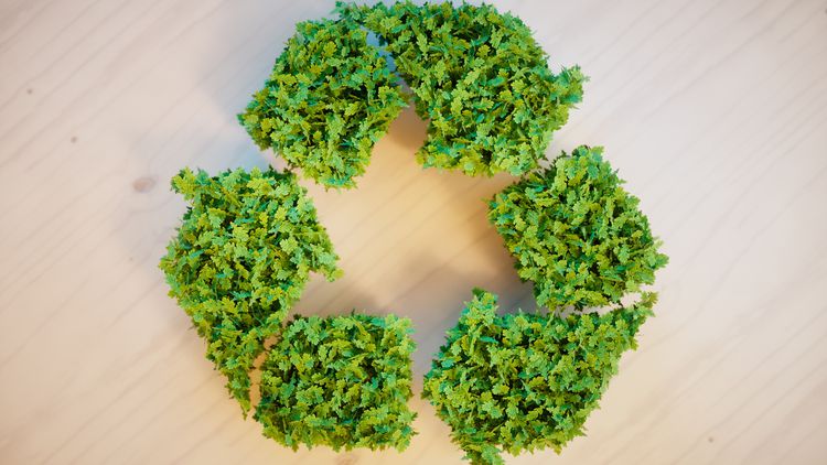 Why sustainability is key for the future of the hospitality industry