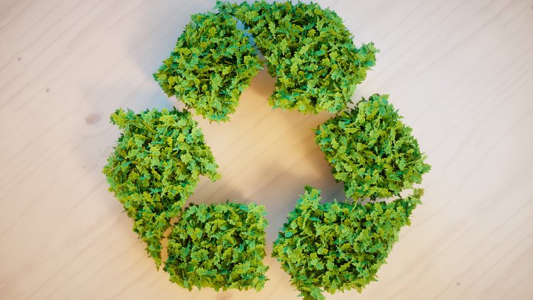 Sustainability In The Hospitality Industry