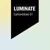 Alumni Luminate - Cym