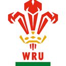 Welsh Rugby Union, partners of our BSc (Hons) Sports Coaching and Development degree