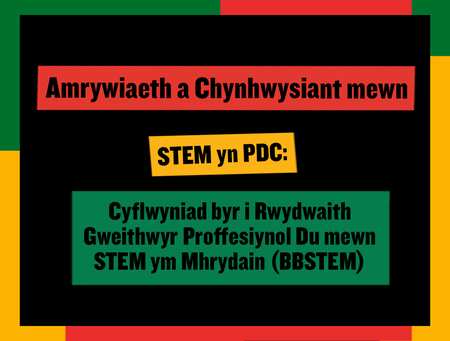 Amrywiaeth a Chynhwysiant mewn STEM yn PDC