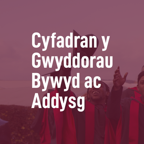 Virtual Grad Celebrations - FLSE Cymraeg
