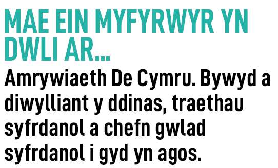 our students love cardiff welsh.png