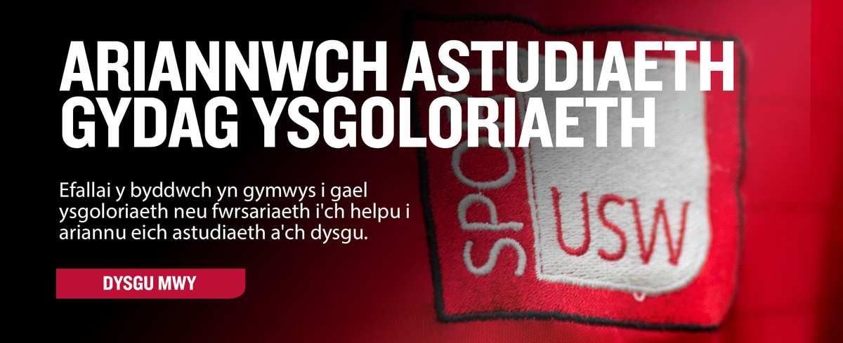 scholarship-banner-2-cymraeg
